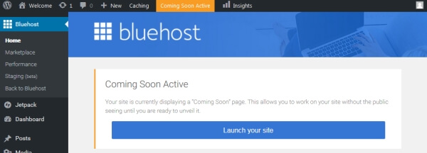 Image with missing alt attribute found on theblogstarter.com