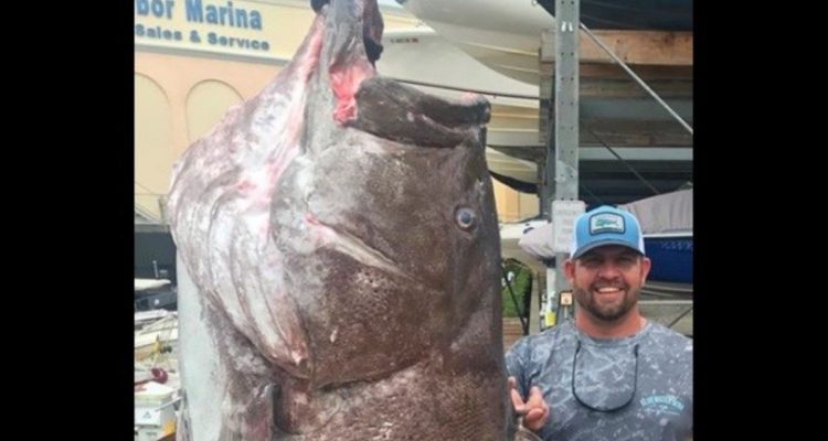 Image with missing alt attribute found on theclinic.cl