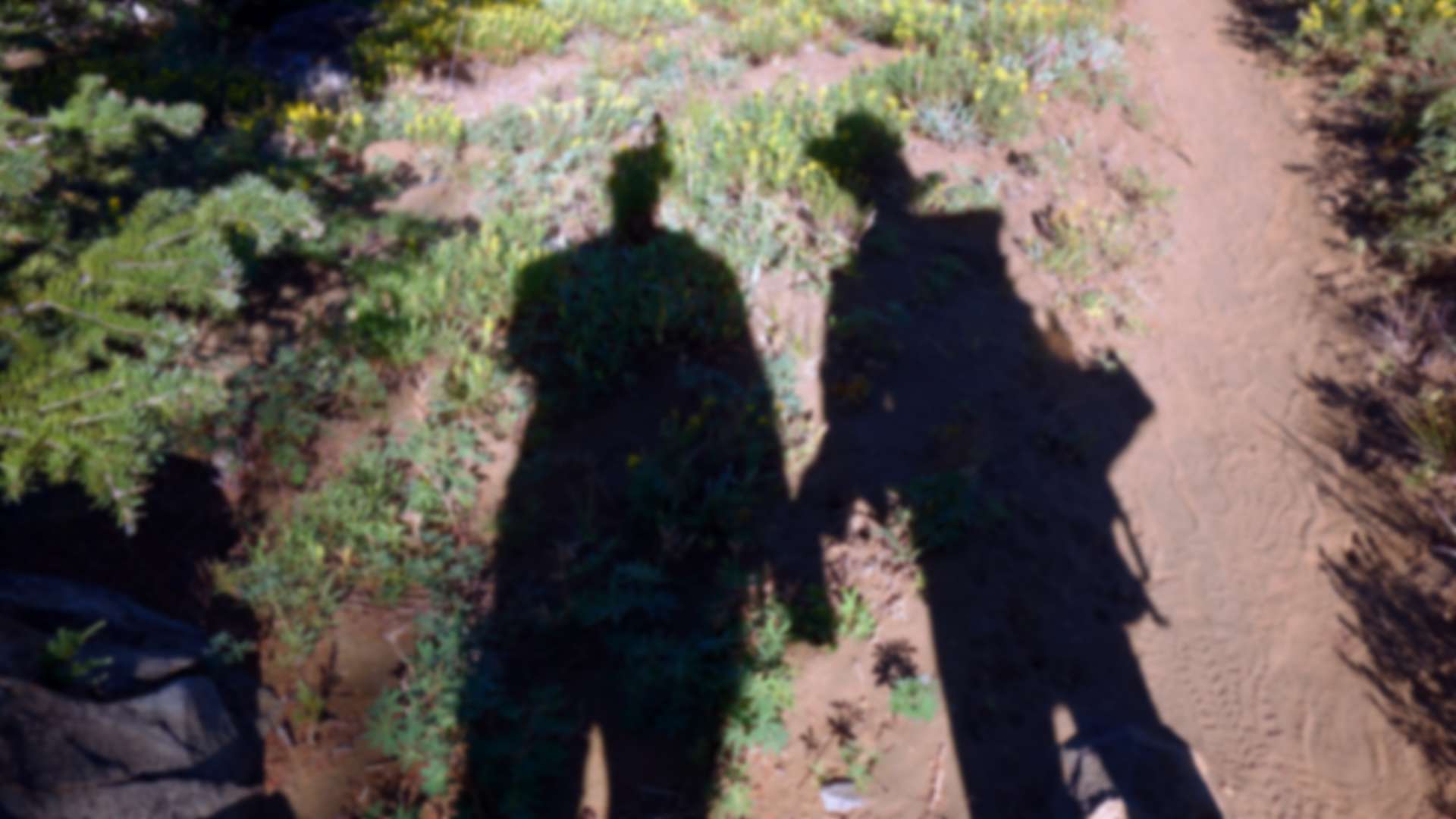 Image with missing alt attribute found on thefirst40miles.com