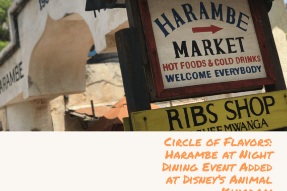 Image with missing alt attribute found on themouseforless.com