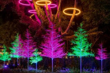 Image with missing alt attribute found on themouseforless.com