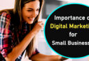 Importance of Digital Marketing for Small Businesses