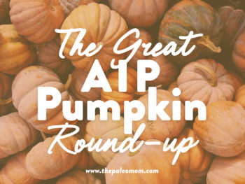 Image with missing alt attribute found on thepaleomom.com