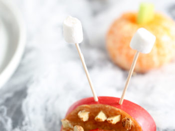 Image with missing alt attribute found on thepaleomom.com