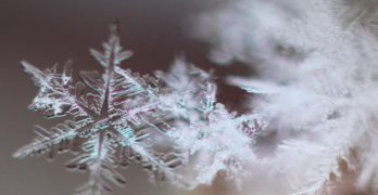 Close-up snowflake