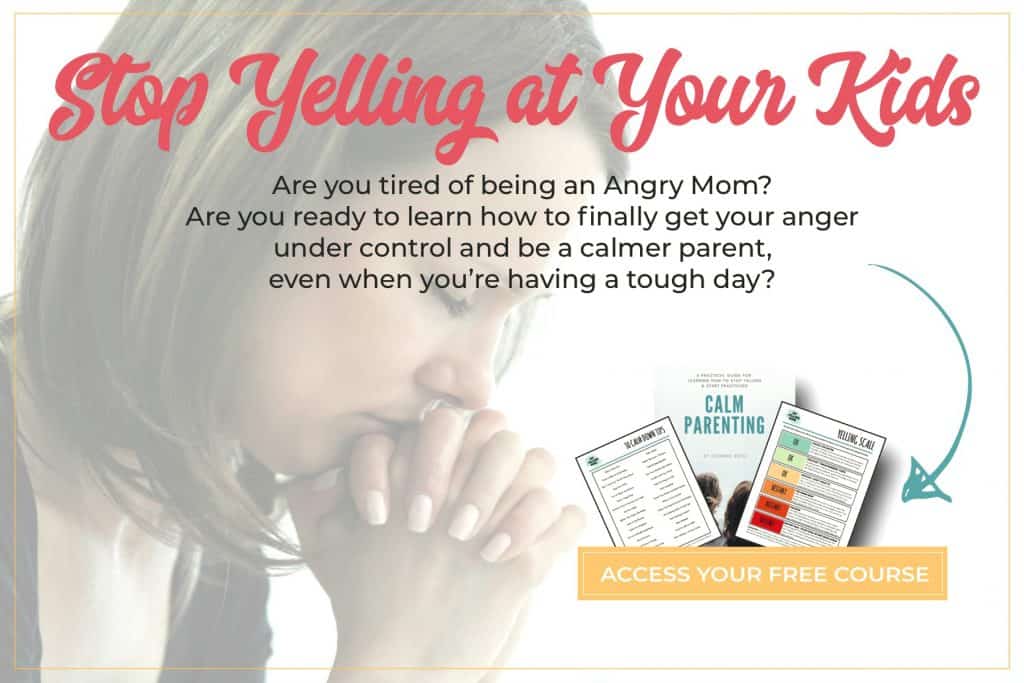 Image with missing alt attribute found on thepragmaticparent.com