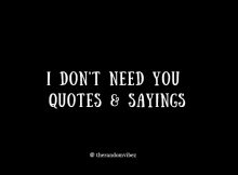 I Don't Need You Quotes.jpg