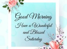 Wonderful Saturday Pictures