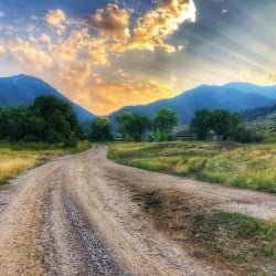 Image with missing alt attribute found on thetaylor-house.com