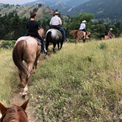 Image with missing alt attribute found on thetaylor-house.com