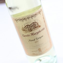 Image with missing alt attribute found on thetaylor-house.com