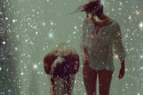 Image with missing alt attribute found on thewonderforest.com