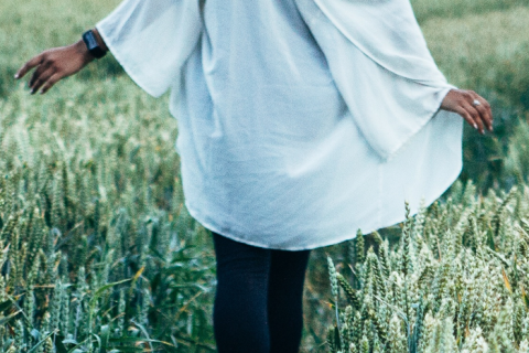 Image with missing alt attribute found on thewonderforest.com