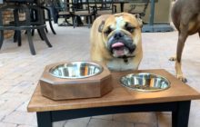 Image with missing alt attribute found on thewoodwhisperer.com