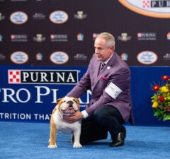 Image with missing alt attribute found on thewrap.com