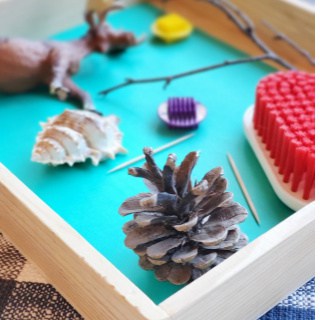 Pokey Like a Hedgehog