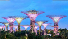 Image with missing alt attribute found on thomascook.in