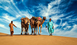 Image with missing alt attribute found on thomascook.in