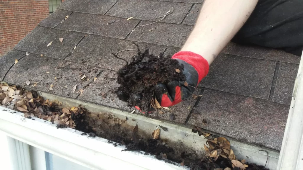 Image with missing alt attribute found on tigerwashbr.com