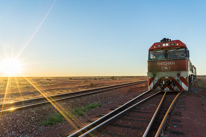 Image with missing alt attribute found on timetravelturtle.com