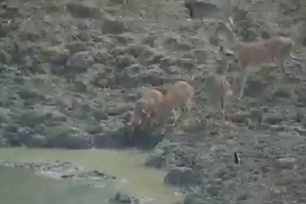 Image with missing alt attribute found on timeturk.com