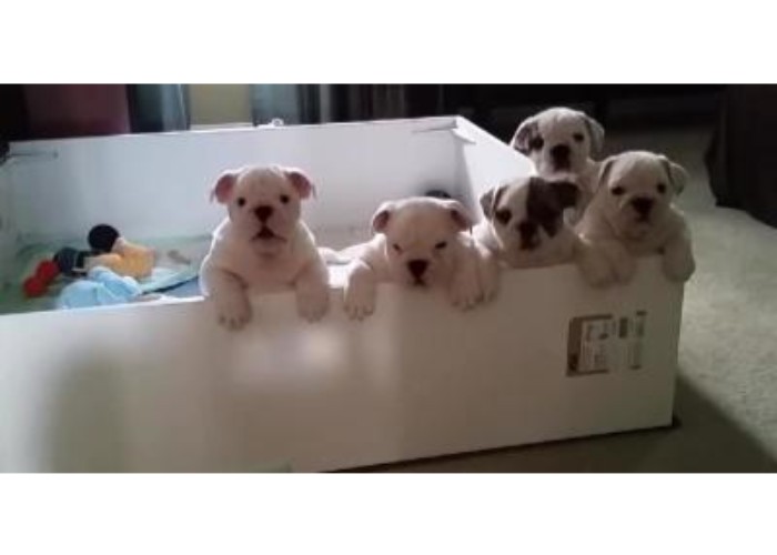 Image with missing alt attribute found on todayposts.com