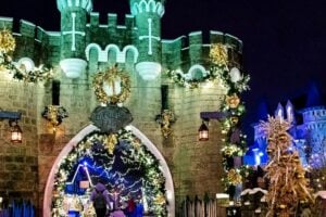 What's On This Weekend