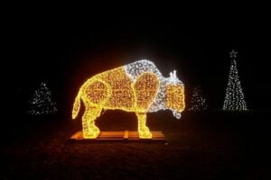 Christmas & Holiday Activities in and around Moncton