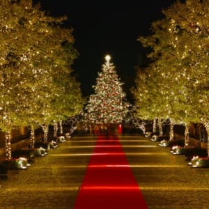 Image with missing alt attribute found on tokyoweekender.com