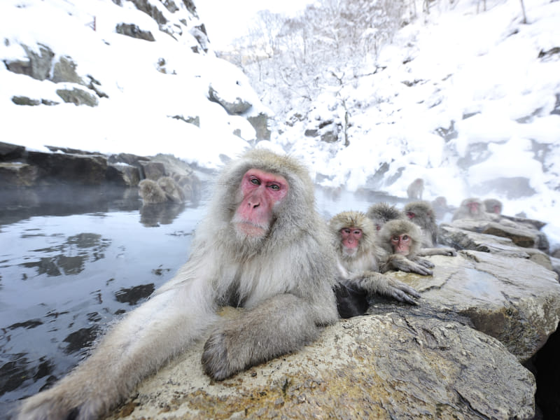 Image with missing alt attribute found on tokyoweekender.com