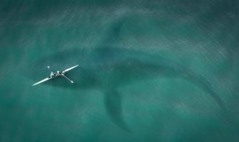 Image with missing alt attribute found on toptenz.net