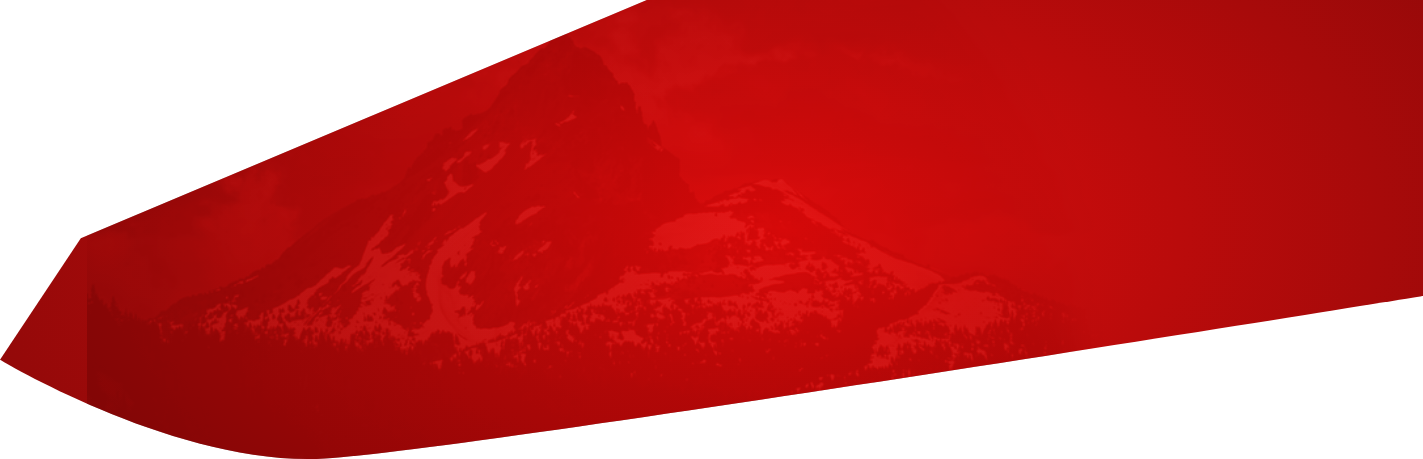 Image with missing alt attribute found on toyotavinlookup.com