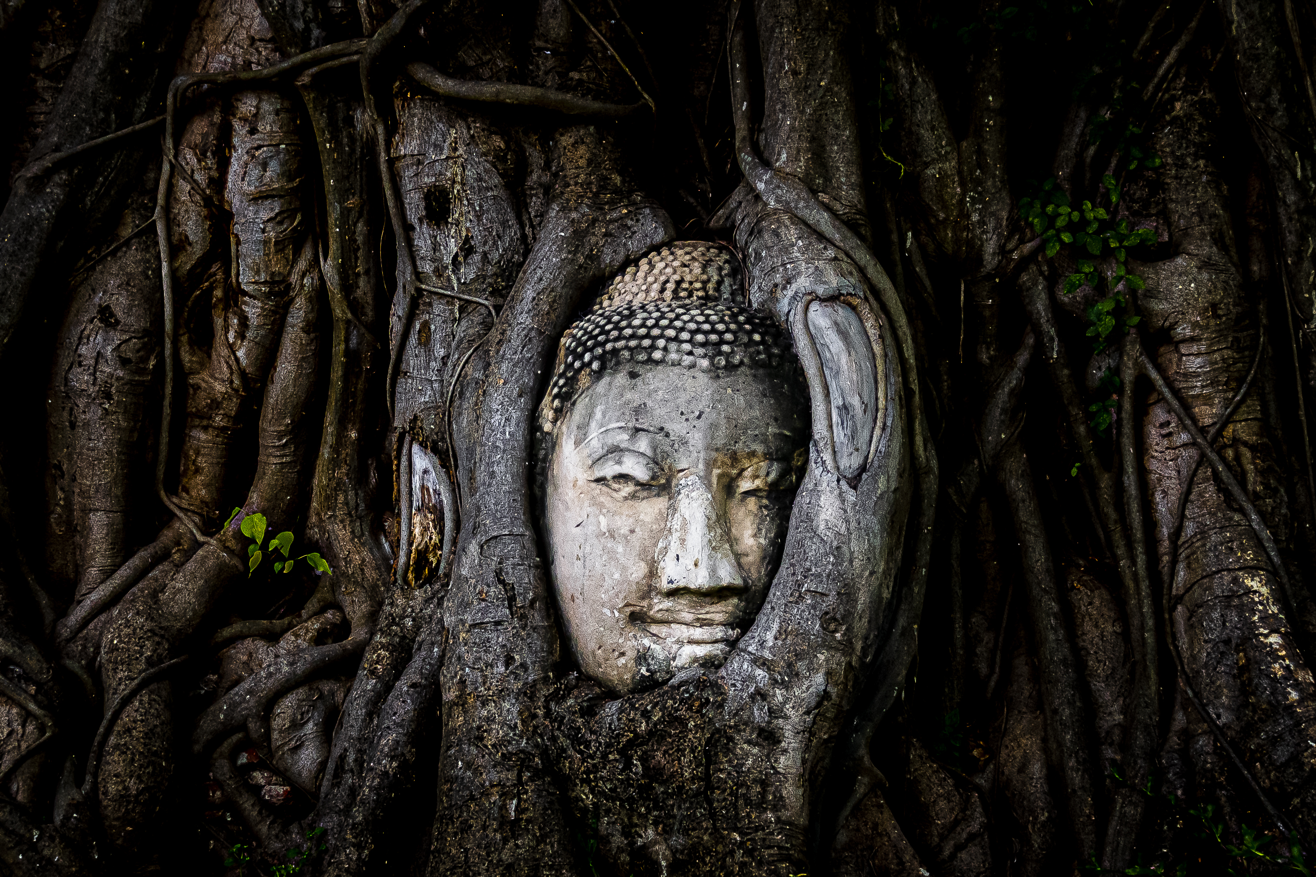 Image with missing alt attribute found on travelmag.com