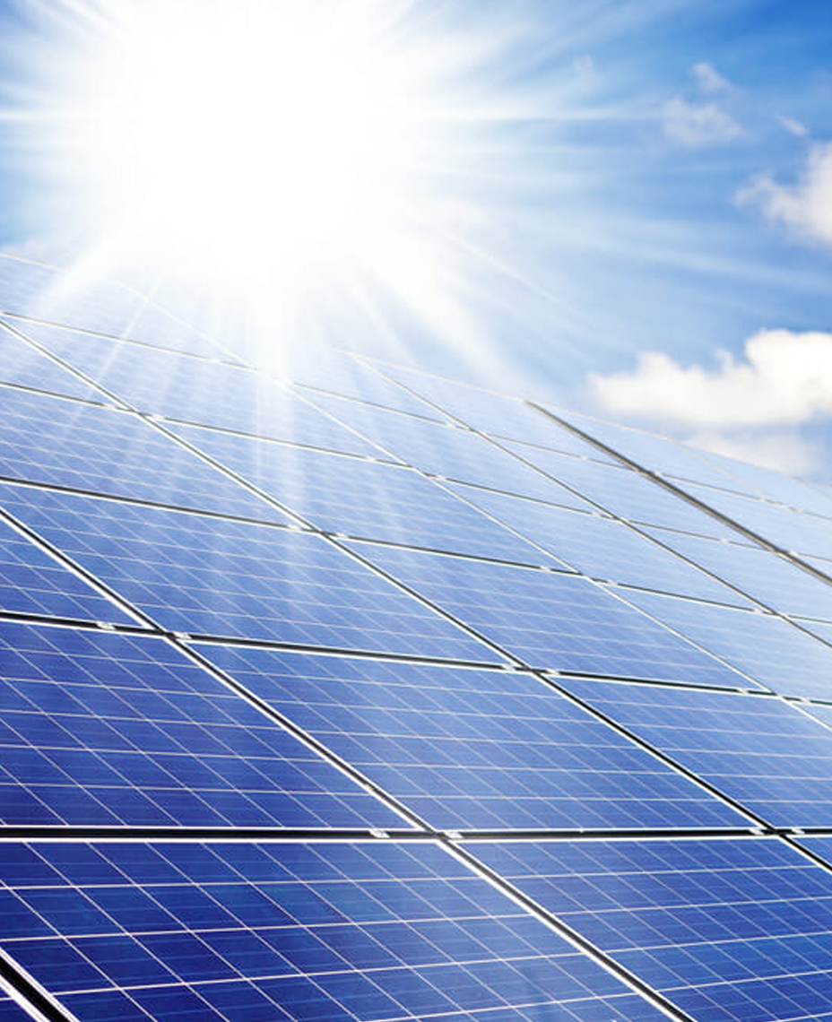 Image with missing alt attribute found on truepowergroup.in