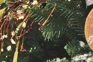 Image with missing alt attribute found on tuinadvies.be