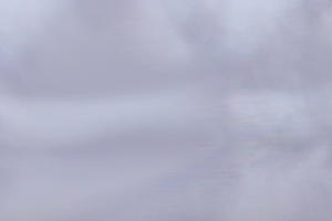 Image with missing alt attribute found on tuinadvies.be