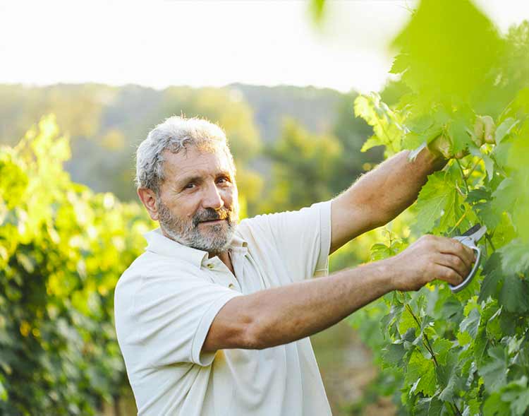 Image with missing alt attribute found on twil.fr