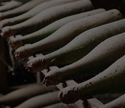 Image with missing alt attribute found on twil.fr