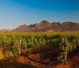 Image with missing alt attribute found on twil.fr