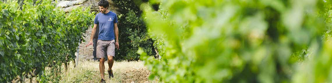 Image with missing alt attribute found on twil.fr