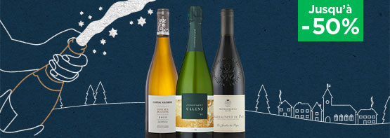 Vente priv&eacute;e meilleurs vins pas cher