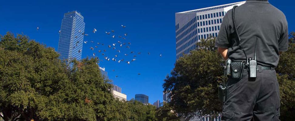 Image with missing alt attribute found on twincitysecuritydallas.com