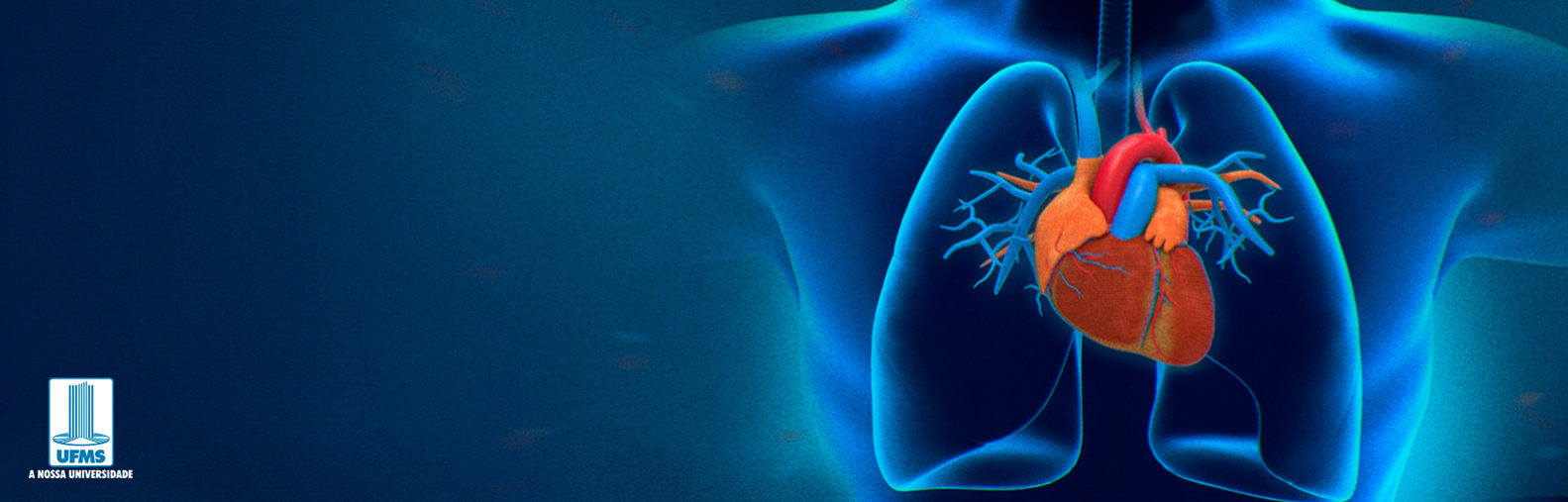 Image with missing alt attribute found on ufms.br