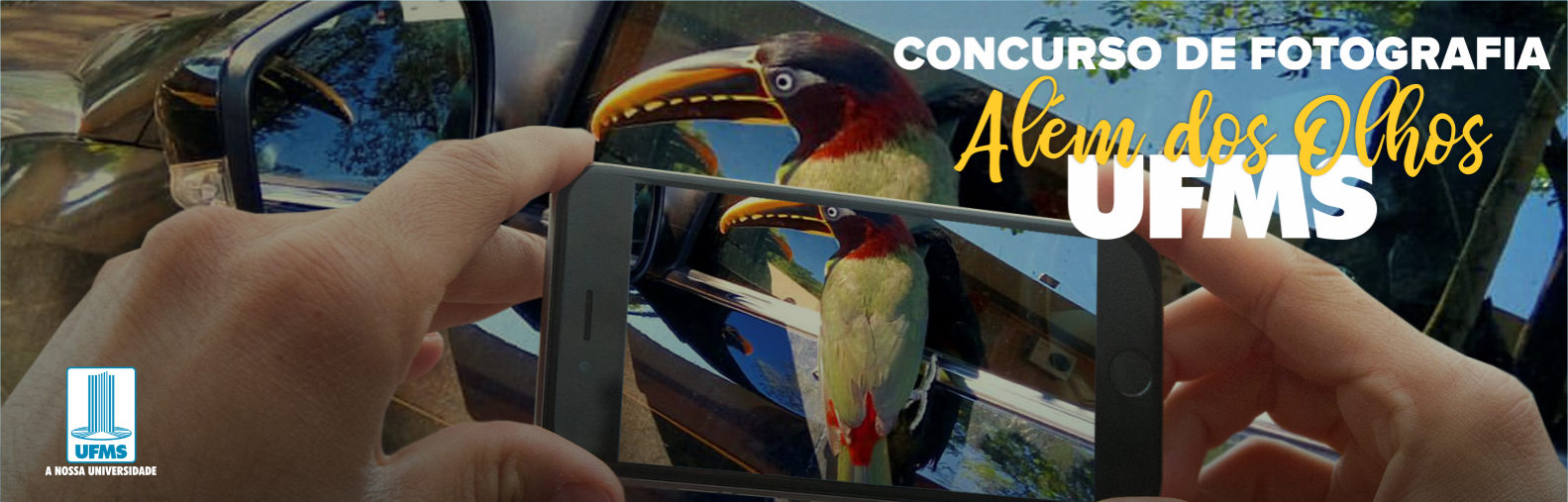 Image with missing alt attribute found on ufms.br