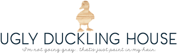ugly duckling house - blog logo