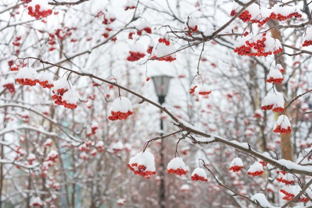 Image with missing alt attribute found on valk.com