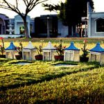 Image with missing alt attribute found on venicomservices.com