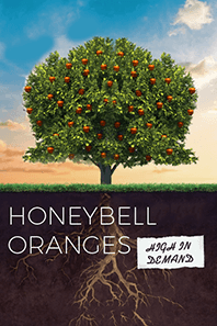 Image with missing alt attribute found on vertexghostwriting.com