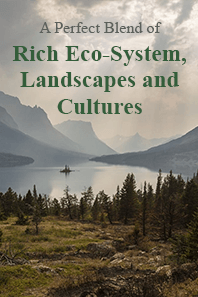 Image with missing alt attribute found on vertexghostwriting.com