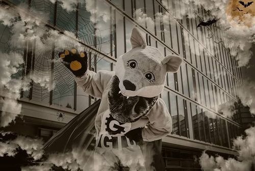 Image with missing alt attribute found on vgtu.lt